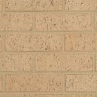 Wienerberger Sahara Buff Bricks Pack of 400